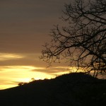 Terrazas del Valle